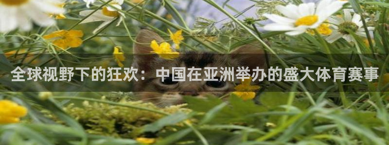 球王会体育：全球视野下的狂欢：中国在亚洲举办的盛大体育赛事