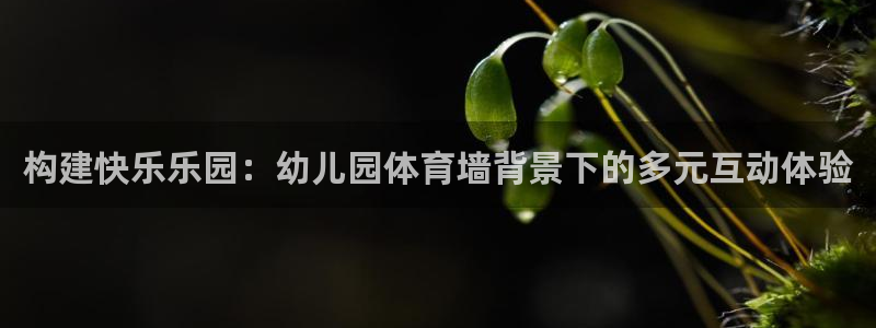 球王会体育：构建快乐乐园：幼儿园体育墙背景下的多元互动体验