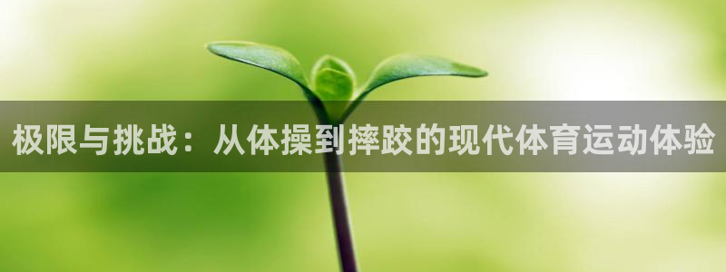 球王会体育：极限与挑战：从体操到摔跤的现代体育运动体验