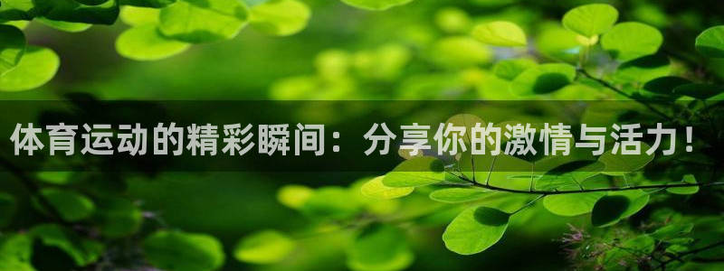 球王会体育：体育运动的精彩瞬间：分享你的激情与活力！