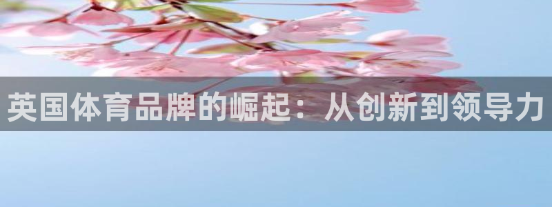 球王会体育：英国体育品牌的崛起：从创新到领导力