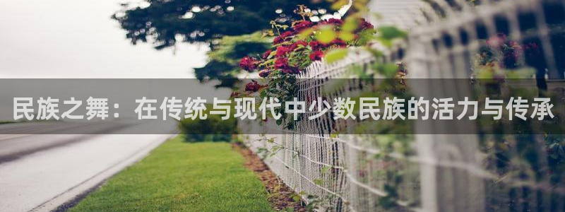 球王会体育：民族之舞：在传统与现代中少数民族的活力与传承