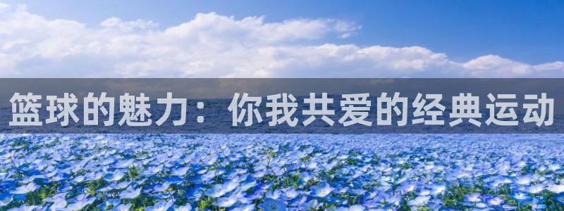 球王会体育：篮球的魅力：你我共爱的经典运动