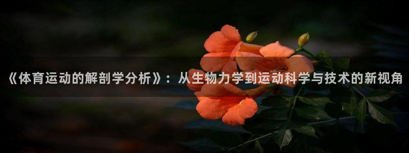 球王会体育：《体育运动的解剖学分析》：从生物力学到运动科学与技术的新视角